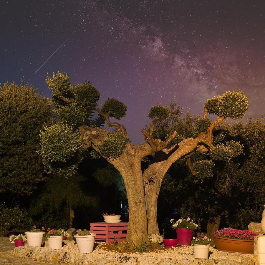 Villa Dei Fiori Локоротондо Екстериор снимка